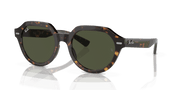 Green Lenses, Polished Havana Frame