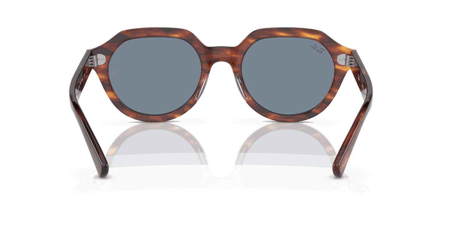 [Blue Lenses, Polished Striped Havana Frame]