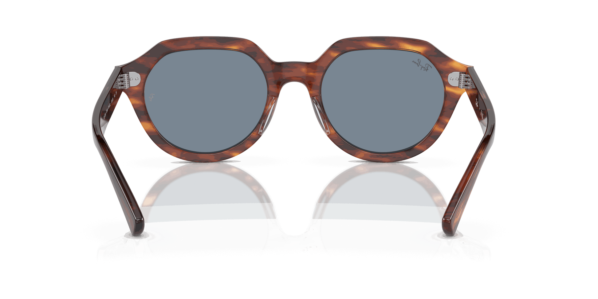 [Blue Lenses, Polished Striped Havana Frame]