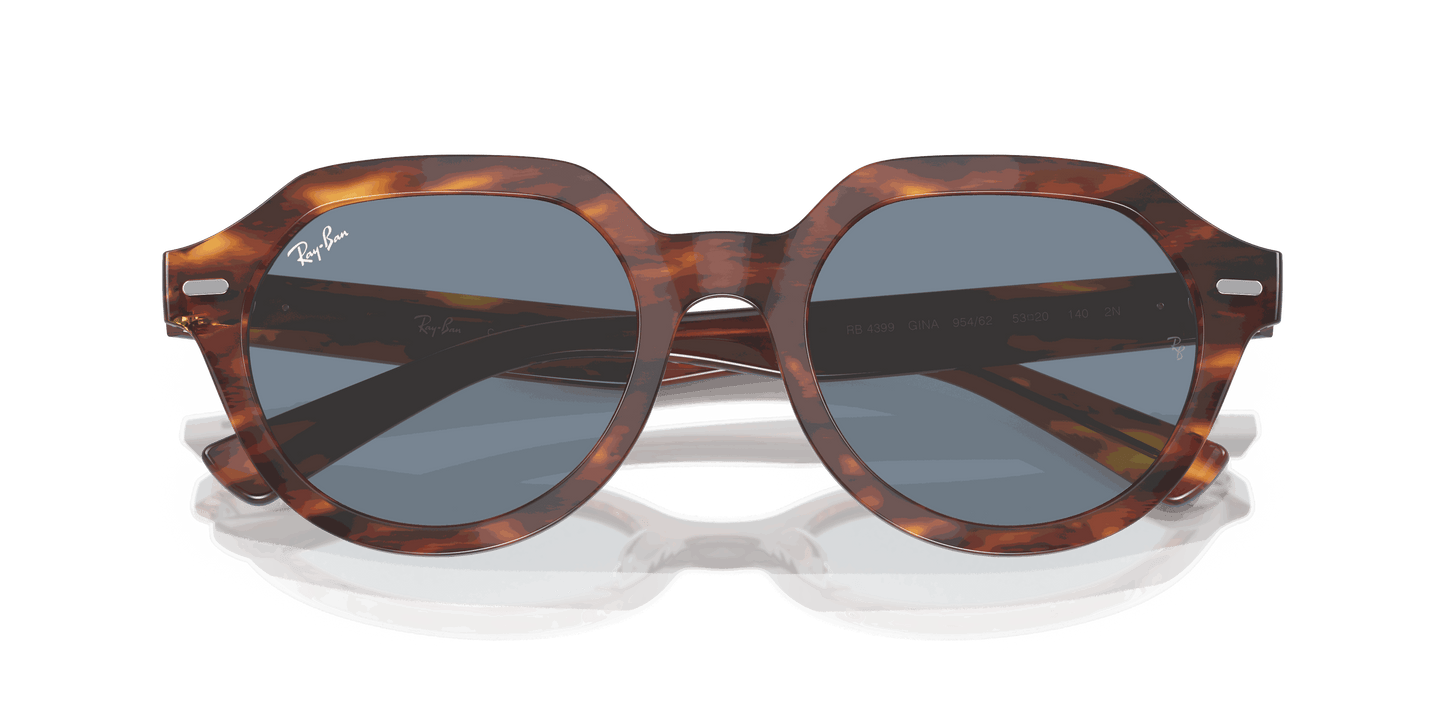 [Blue Lenses, Polished Striped Havana Frame]