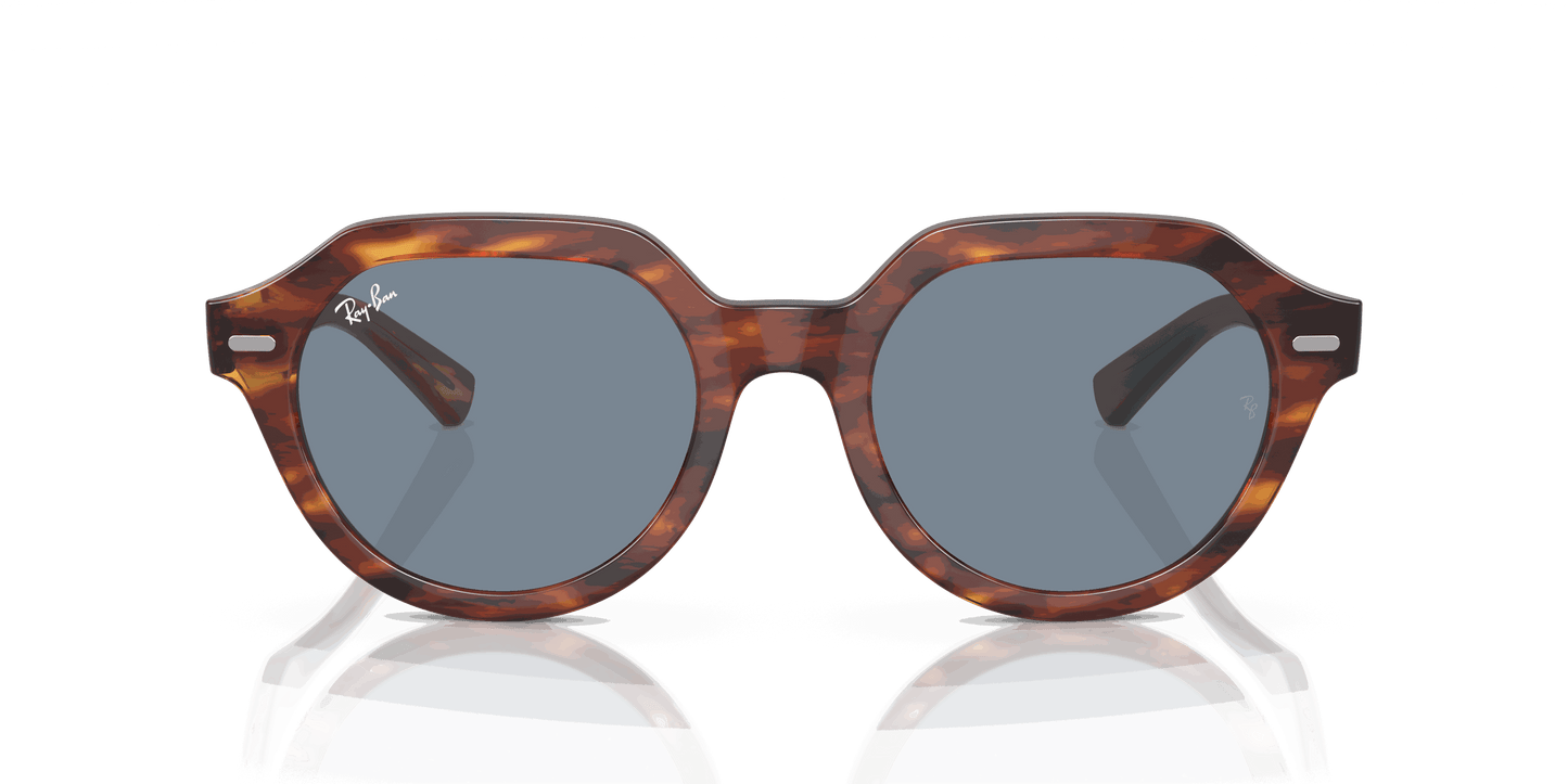 [Blue Lenses, Polished Striped Havana Frame]