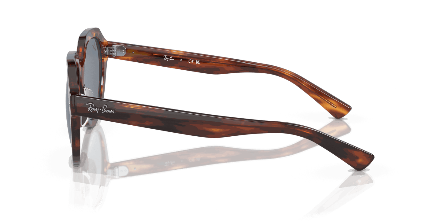 [Blue Lenses, Polished Striped Havana Frame]