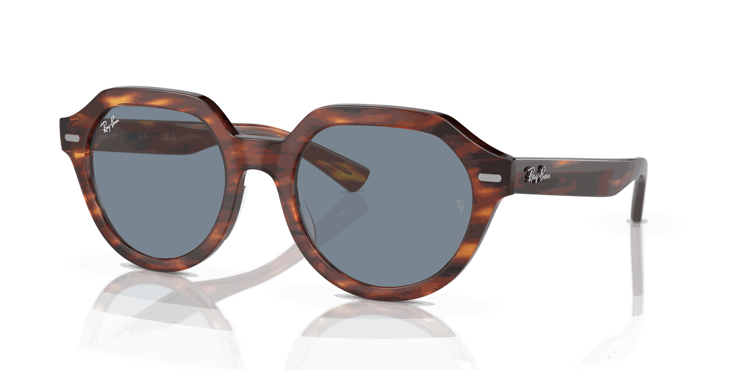 [Blue Lenses, Polished Striped Havana Frame]