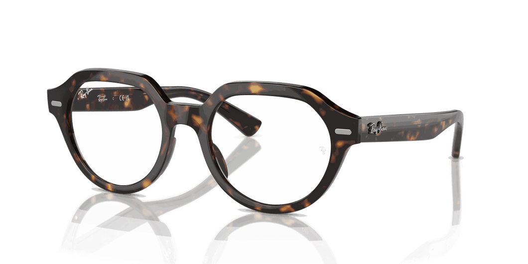 [Clear Lenses, Polished Havana Frame]