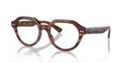 Clear Lenses, Polished Striped Havana Frame