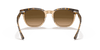 [Brown Gradient Polar Lenses, Polished Havana On Transparent Brown Frame]