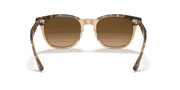 Brown Gradient Polar Lenses, Polished Havana On Transparent Brown Frame