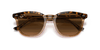 [Brown Gradient Polar Lenses, Polished Havana On Transparent Brown Frame]