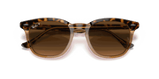 Brown Gradient Polar Lenses, Polished Havana On Transparent Brown Frame