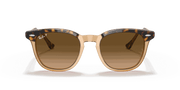 Brown Gradient Polar Lenses, Polished Havana On Transparent Brown Frame