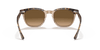 [Brown Lenses, Polished Havana On Transparent Brown Frame]