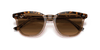 [Brown Lenses, Polished Havana On Transparent Brown Frame]