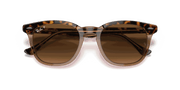 Brown Lenses, Polished Havana On Transparent Brown Frame