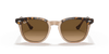 [Brown Lenses, Polished Havana On Transparent Brown Frame]