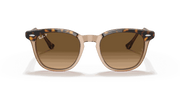 Brown Lenses, Polished Havana On Transparent Brown Frame