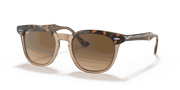 Brown Lenses, Polished Havana On Transparent Brown Frame