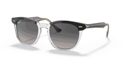 Grey Lenses, Polished Black On Transparent Frame