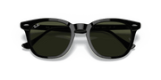 Green Lenses, Polished Black Frame