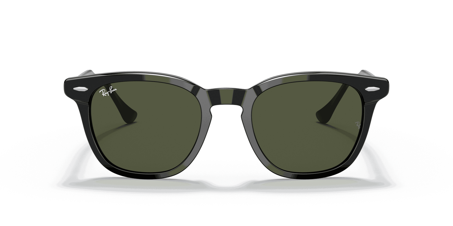 [Green Lenses, Polished Black Frame]