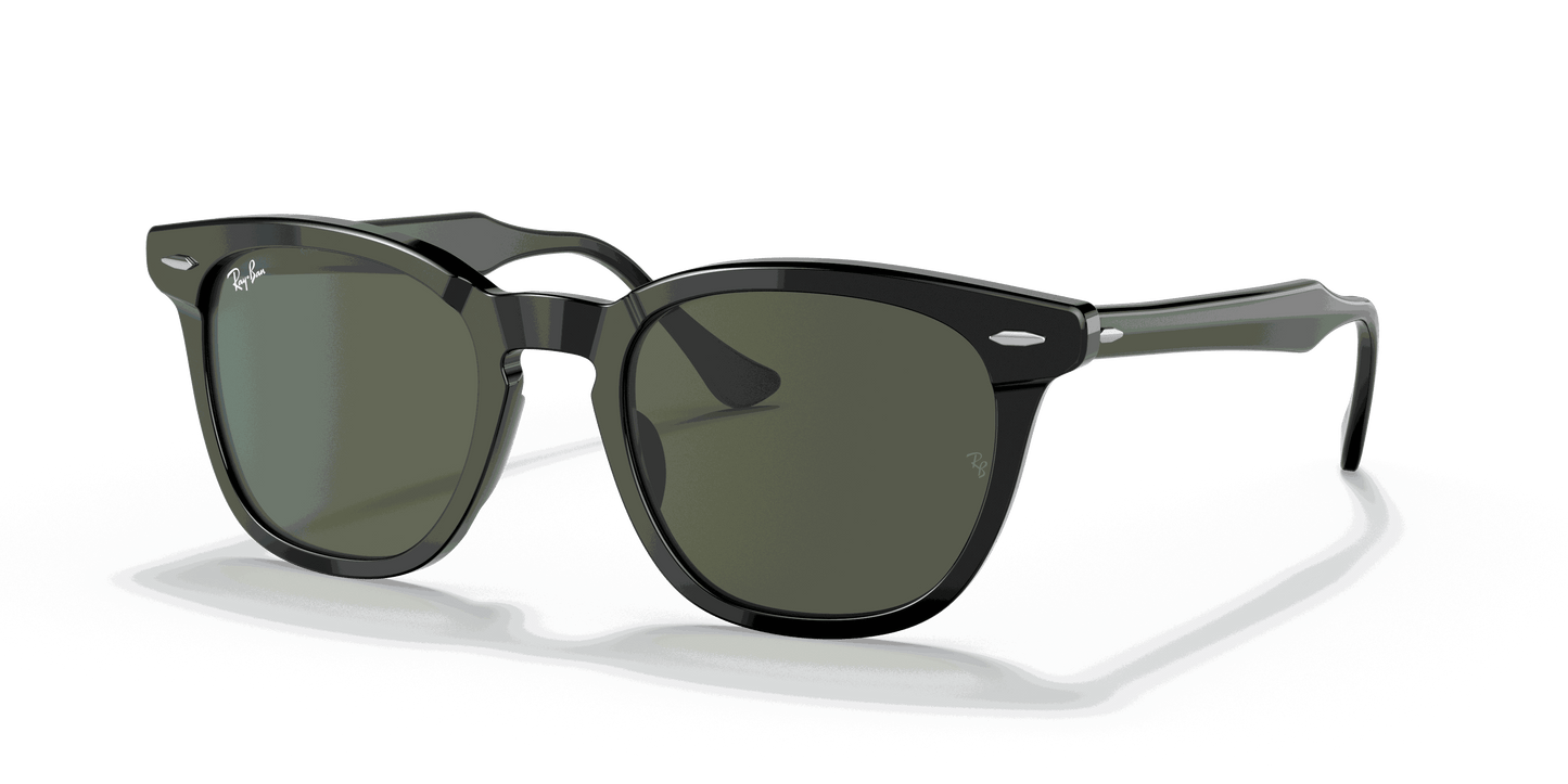 [Green Lenses, Polished Black Frame]