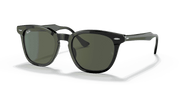 Green Lenses, Polished Black Frame