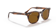 Brown Lenses, Polished Striped Havana Frame