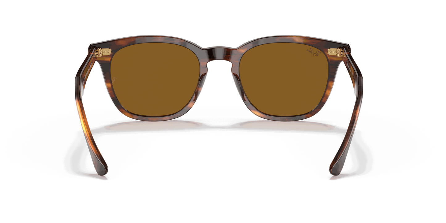 [Brown Lenses, Polished Striped Havana Frame]