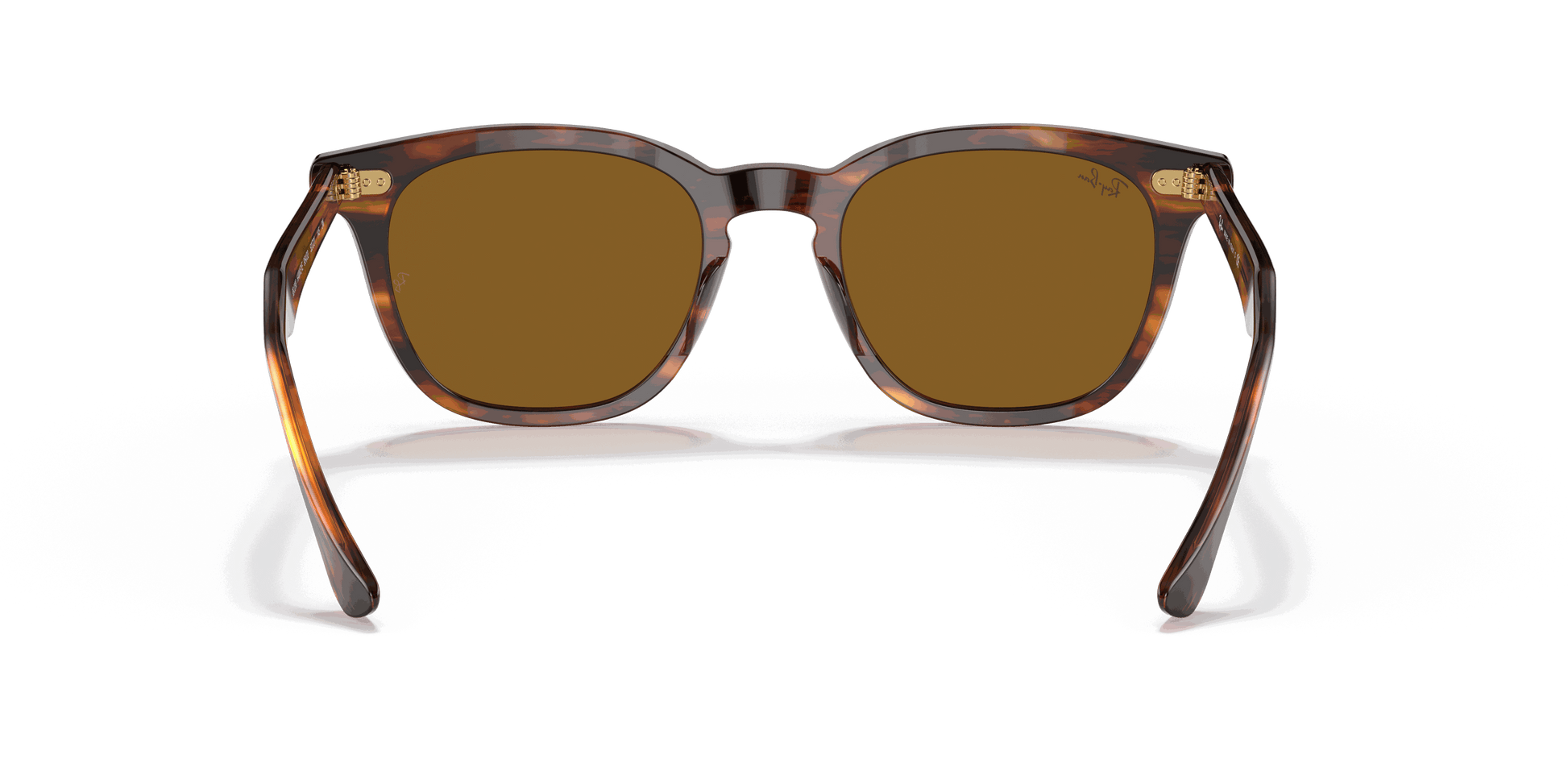 [Brown Lenses, Polished Striped Havana Frame]