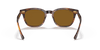 [Brown Lenses, Polished Striped Havana Frame]