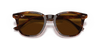 [Brown Lenses, Polished Striped Havana Frame]