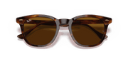 Brown Lenses, Polished Striped Havana Frame