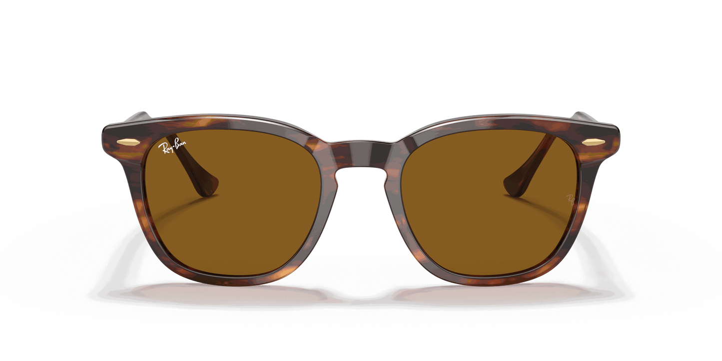 [Brown Lenses, Polished Striped Havana Frame]