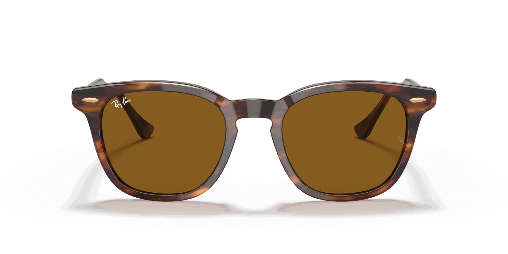 [Brown Lenses, Polished Striped Havana Frame]