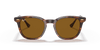 [Brown Lenses, Polished Striped Havana Frame]