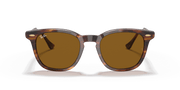 Brown Lenses, Polished Striped Havana Frame