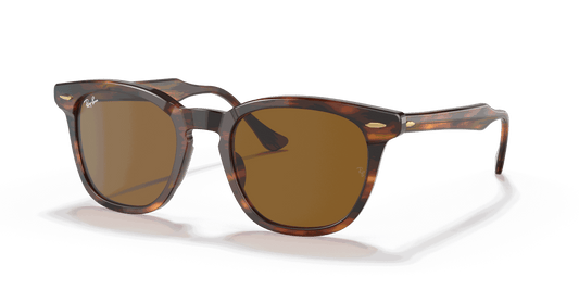 [Brown Lenses, Polished Striped Havana Frame]