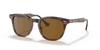 [Brown Lenses, Polished Striped Havana Frame]