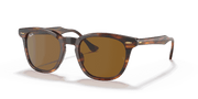 Brown Lenses, Polished Striped Havana Frame