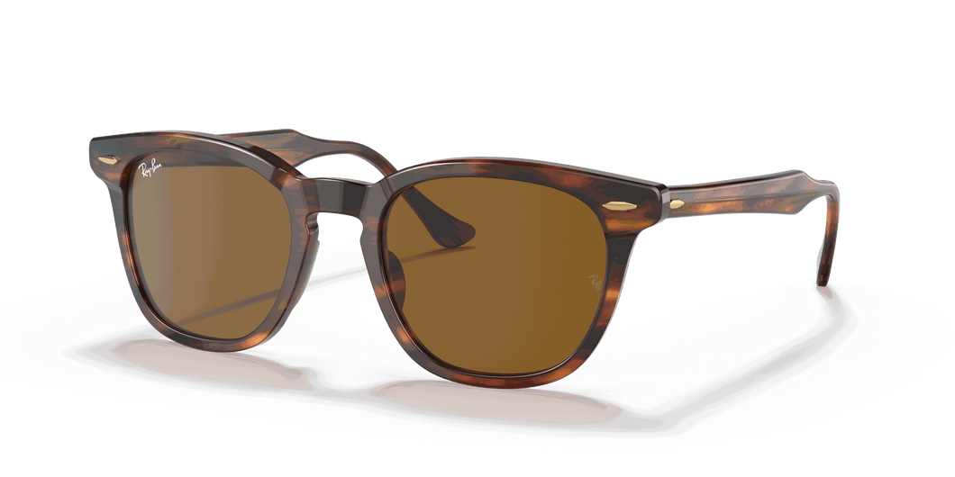 [Brown Lenses, Polished Striped Havana Frame]