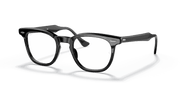 Clear Lenses, Polished Black Frame