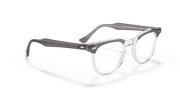 Clear Lenses, Polished Grey On Transparent Frame