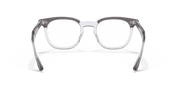 Clear Lenses, Polished Grey On Transparent Frame