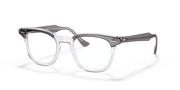 Clear Lenses, Polished Grey On Transparent Frame