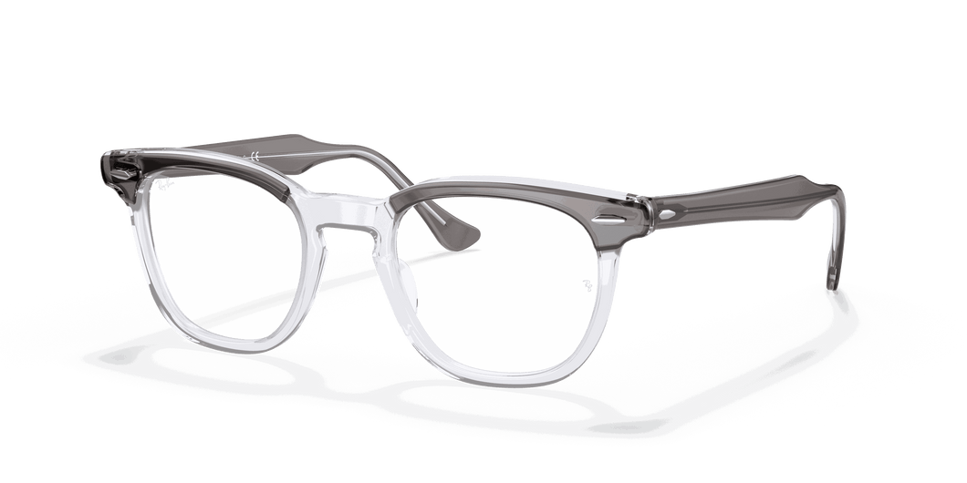 [Clear Lenses, Polished Grey On Transparent Frame]