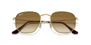 Light Brown Gradient Lenses, Polished Arista Gold Frame