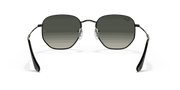 Grey Gradient Lenses, Polished Black Frame