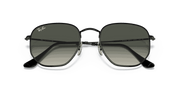 Grey Gradient Lenses, Polished Black Frame