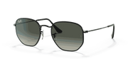 Grey Gradient Lenses, Polished Black Frame