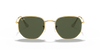 [G-15 Green Lenses, Polished Gold Frame]