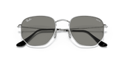 Clear Lenses, Polished Silver Frame